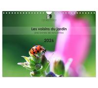 Les voisins du jardin - Une année de rencontres (Calendrier mural 2027 DIN A4 ve