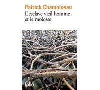 L'esclave vieil homme et le molosse