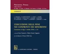 L'esecuzione delle pene nei confronti dei minorenni. Commento al d.lgs 2 ottobre 2018, n. 121