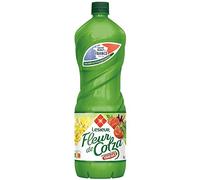 LESIEUR Olio di colza coltivato e prodotto in Francia, 1 l, 3 pezzi