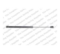 LESJÖFORS Gasfeder Dämpfer Heckklappe Hinten Per Citroën DS5 DS 8115669