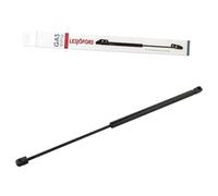 Lesjofors 8127553 Molla a Gas