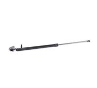 Lesjöfors Ammortizzatore pneumatico 8188314 cofano bagagli destro per Subaru Outback