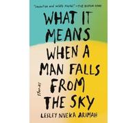 What It Means When a Man Falls from the Sky: Stories