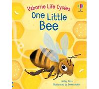 Lesley Sims One Little Bee (Libro di cartone) Life Cycles