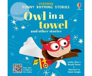Lesley Sims Russell Punter Owl in a towel and other stories (Copertina rigida)