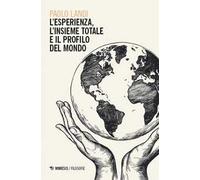 L'esperienza, l’insieme totale e il profilo del mondo