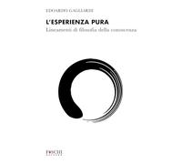 L'esperienza pura. Lineamenti di filosofia della conoscenza