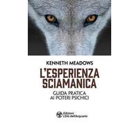 L'esperienza sciamanica. Guida pratica ai poteri psichici