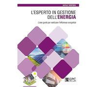 L'esperto in gestione dell’energia. Linee guida per realizzare l’efficienza energetica