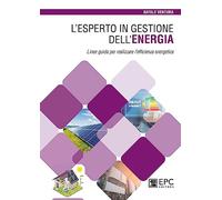 L'Esperto In Gestione Dell’Energia. Linee Guida Per Realizzare L’Efficienza Ener