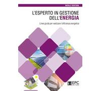 L'esperto in gestione dell’energia. Linee guida per realizzare l’efficienza energetica