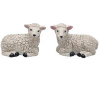 Lesser & Pavey Set sale e pepe per tutti i tipi di cucina, set sale e pepe in ceramica, grazioso set per sale e pepe, adatto per la casa (pecora)