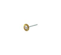 LESSMANN Mini-spazzola circolare filo in ottone da 0,10mm, Spazzola Ø19 x l=2mm Quantità:1
