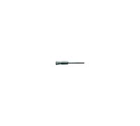 LESSMANN Spazzola a pennello in miniatura, filo in inox 0,10mm, Spazzola Ø5mm Quantità:1