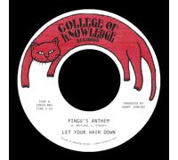 LET YOUR HAIR DOWN PINGU`S ANTHEM B/W GRONK 7 NUOVO
