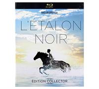 L'étalon noir