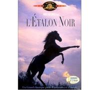 L'étalon noir
