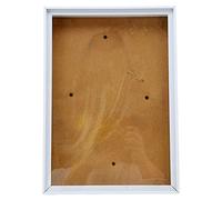 LetCart Picture Frame With Bracket Easy To Disassemble Plastic Decorative Photo Frame For Dried Flowers Shells Wall Display Home Decor 30x21cm (White)