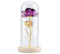LetCart Preserved Rose Flower LED Light Glass Cover Wooden Base Eternal Romantic Gift for Valentines Day Wedding Anniversary Home Decor (Purple)