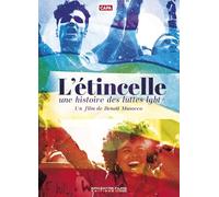 L'étincelle, Une Histoire des luttes LGBT+