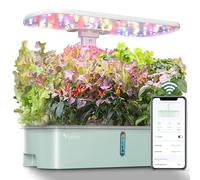 LETPOT LPH-Air - Sistema di coltivazione idroponico WiFi, 10 manicotti Smart Herb Garden Kit per interni, giardino con luce di crescita LED da 24 W, serbatoio dell'acqua da 4 l, sistema di pompaggio,
