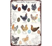 Letrero de hojalata con diseño de razas de pollos, 8 x 12 pulgadas, vintage, decorativo, con impresión de metal EggArt, perfecto para el hogar, la cocina, el café, el bar, la cueva del hombre.