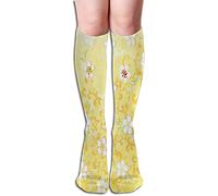 Let's Dance Salsa Intermediate Lessons DVD