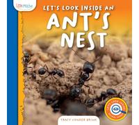 Let's Look Inside an Ant's Nest
