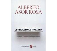 Letteratura italiana. La storia, i classici, l'identità nazionale