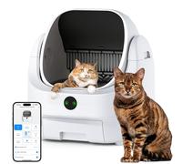 Lettiera Gatto Autopulente Aperta Lettiera Automatica Silenziosa per Gatti