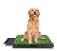 Lettiera per cani ideale per cuccioli e cani anziani, per interni ed esterni, dimensioni: 63 x 50 x 7 cm