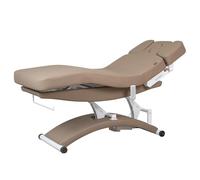 Lettino Elettrico da massaggio per estetista con riscaldamento Spa centro estetico medicina estetica fisioterapia TAL WEELKO