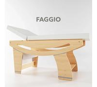 Lettino per massaggi OSLO Professionale in Legno Multistrato di Betulla