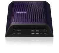 Lettore multimediale BrightSign XC4055 8K Ultra HD Viola