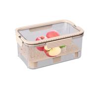 Lettuce Container - Fridge Clear Crisper Box, Portable Tight Pack Bin
