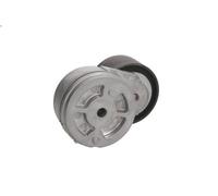 Leva del tenditore, cinghia trapezoidale BTA B05-01-006 per AXOR 11.967 2002-