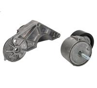 Leva del tenditore, cinghia trapezoidale BTA B05-01-079 per CF 85 12.903 2005-