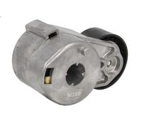 Leva del tenditore, cinghia trapezoidale BTA B05-01-088 per KERAX 11.123 2001-