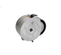 Leva del tenditore, cinghia trapezoidale BTA E3C0014BTA per 307 (3A/C) 2 2000-