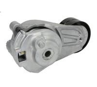 Leva del tenditore, cinghia trapezoidale BTA E3M0001BTA per CLK (C209) 3 2005-