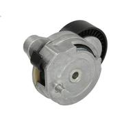 Leva del tenditore, cinghia trapezoidale BTA E3V0002BTA per V60 I (155) 2 2012-
