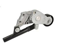 Leva del tenditore, cinghia trapezoidale BTA E3W0017BTA per A3 (8L1) 1.9 1996-