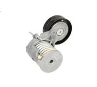 Leva del tenditore, cinghia trapezoidale BTA E3W0022BTA per LEON (1M1) 1.4 1999-