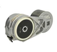 Braccio tenditore, cinghia a V BTA B05-AG-011