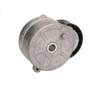 Leva del tenditore, cinghia trapezoidale DAYCO APV1030 per 307 (3A/C) 2 2000-