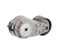 Leva del tenditore, cinghia trapezoidale DAYCO APV1048 per TRAKKER I 7.79 2004-