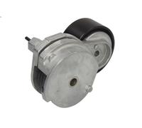 Leva del tenditore, cinghia trapezoidale DAYCO APV2813 per CF 85 12.902 2005-