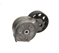 Leva del tenditore, cinghia trapezoidale DAYCO per RANGE ROVER I 3.9 1988-1994