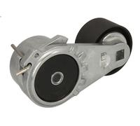 Leva del tenditore, cinghia trapezoidale FEBI 177687 per T 10.837 2013-